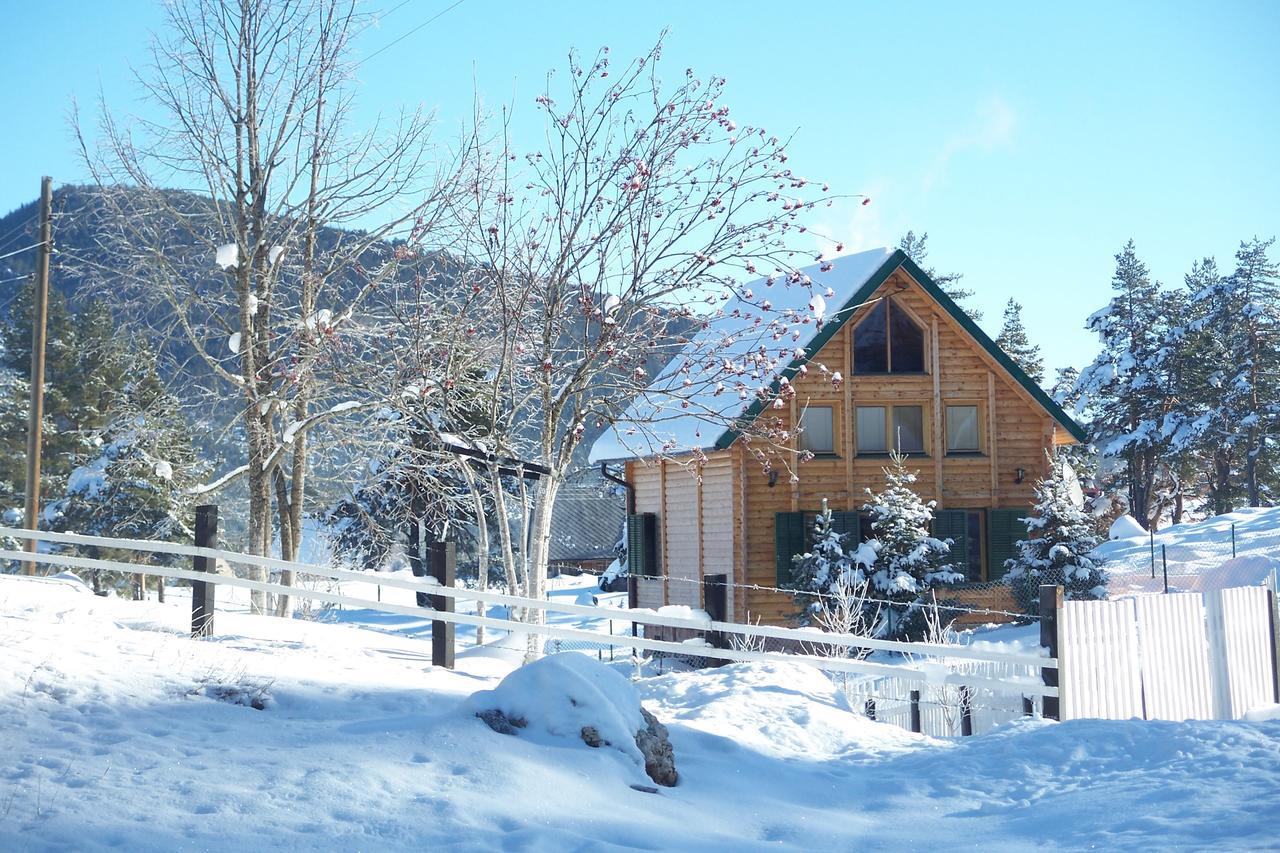 Apartamento Kuca U Borju - House In Pines Žabljak Exterior foto