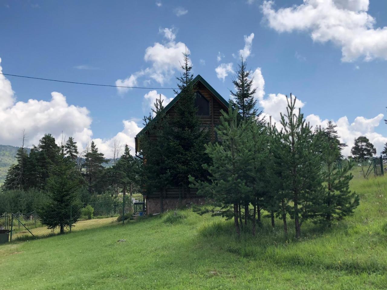 Apartamento Kuca U Borju - House In Pines Žabljak Exterior foto